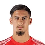 ميلفين زينغا