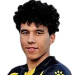 أحمد فاوزي