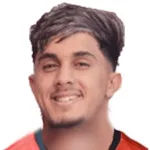 أنس صفير